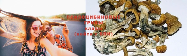гидропоника Абдулино