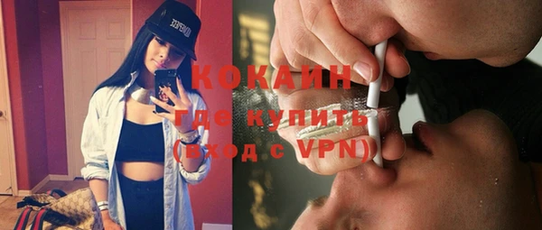 шишки Абинск