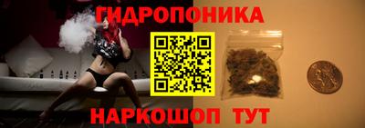 прущие грибы Кингисепп