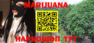 прущие грибы Кингисепп