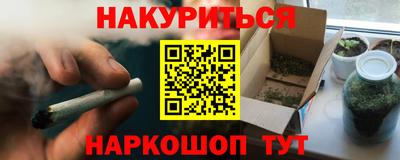 прущие грибы Кингисепп