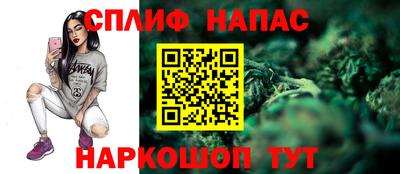прущие грибы Кингисепп