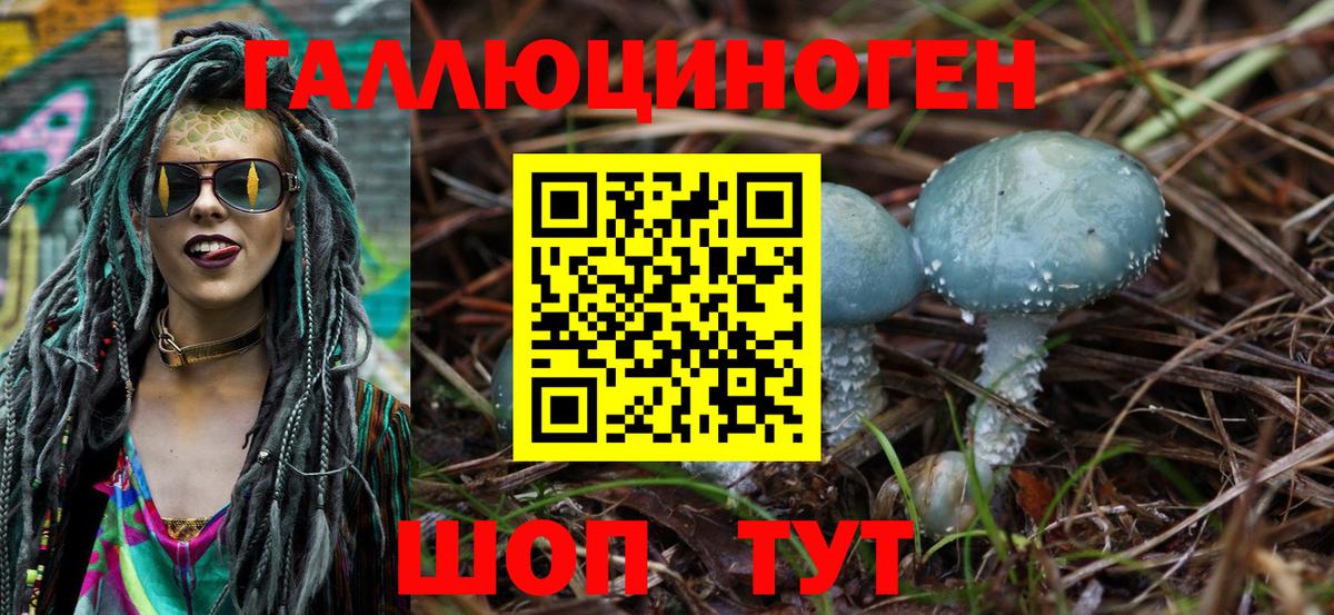 Комсомольск-на-Амуре  Галлюциногенные грибы GOLDEN TEACHER  Вход с VPN 